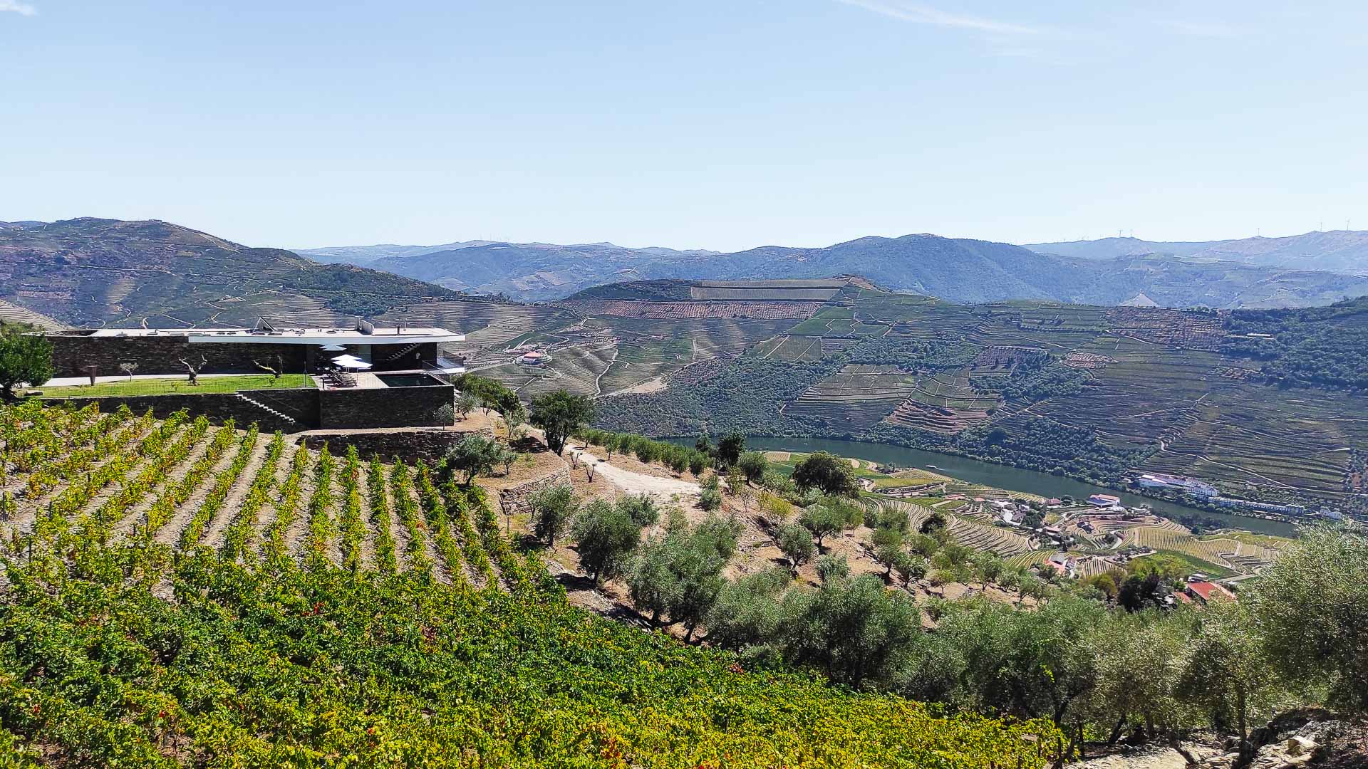 Quinta Vale das Papas – luxury villa in Douro Valley, Portugal – image 16